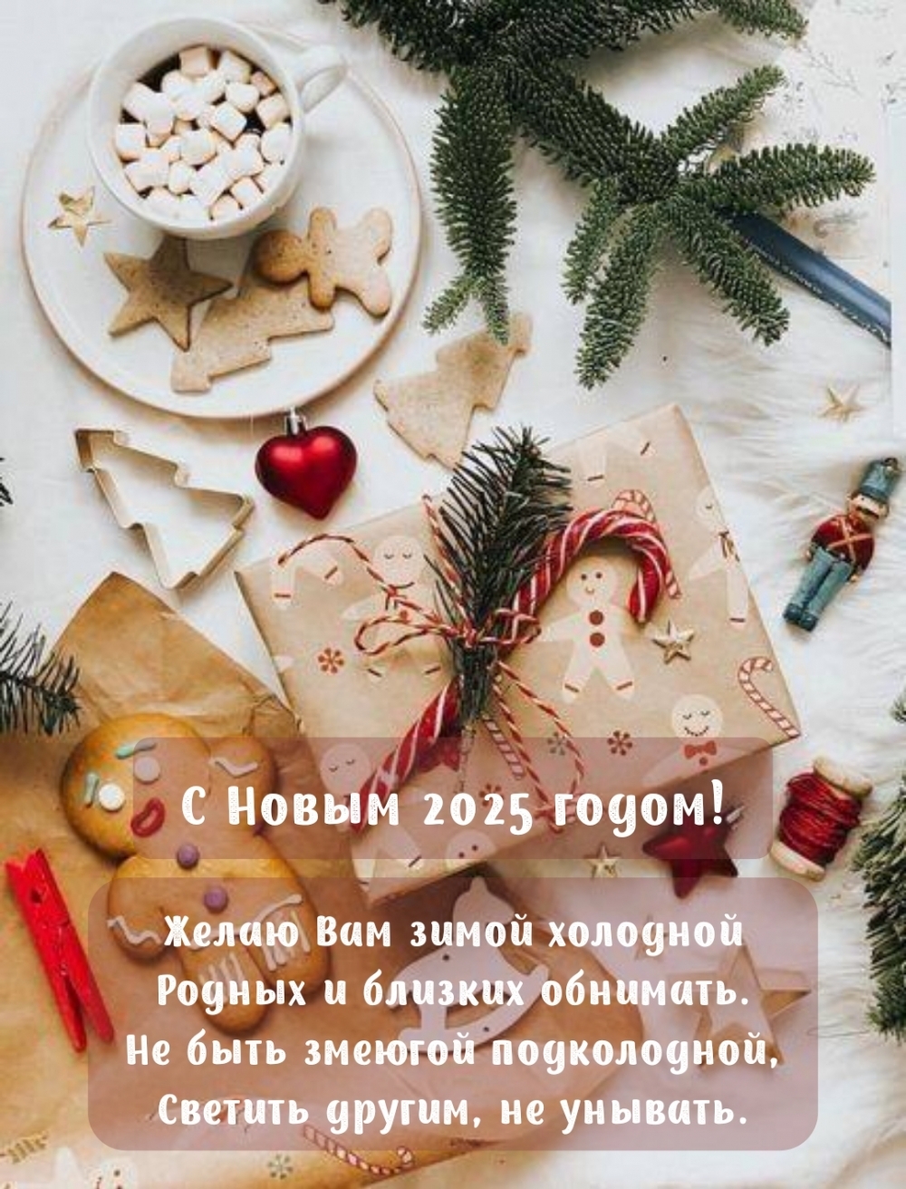 С Новым 2025! Желаю зимой холодной родных и близких обнимать.