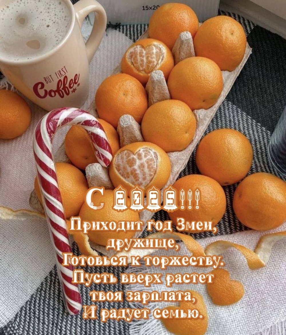 С 2025!!! Приходит год Змеи, дружище, готовься к торжеству.