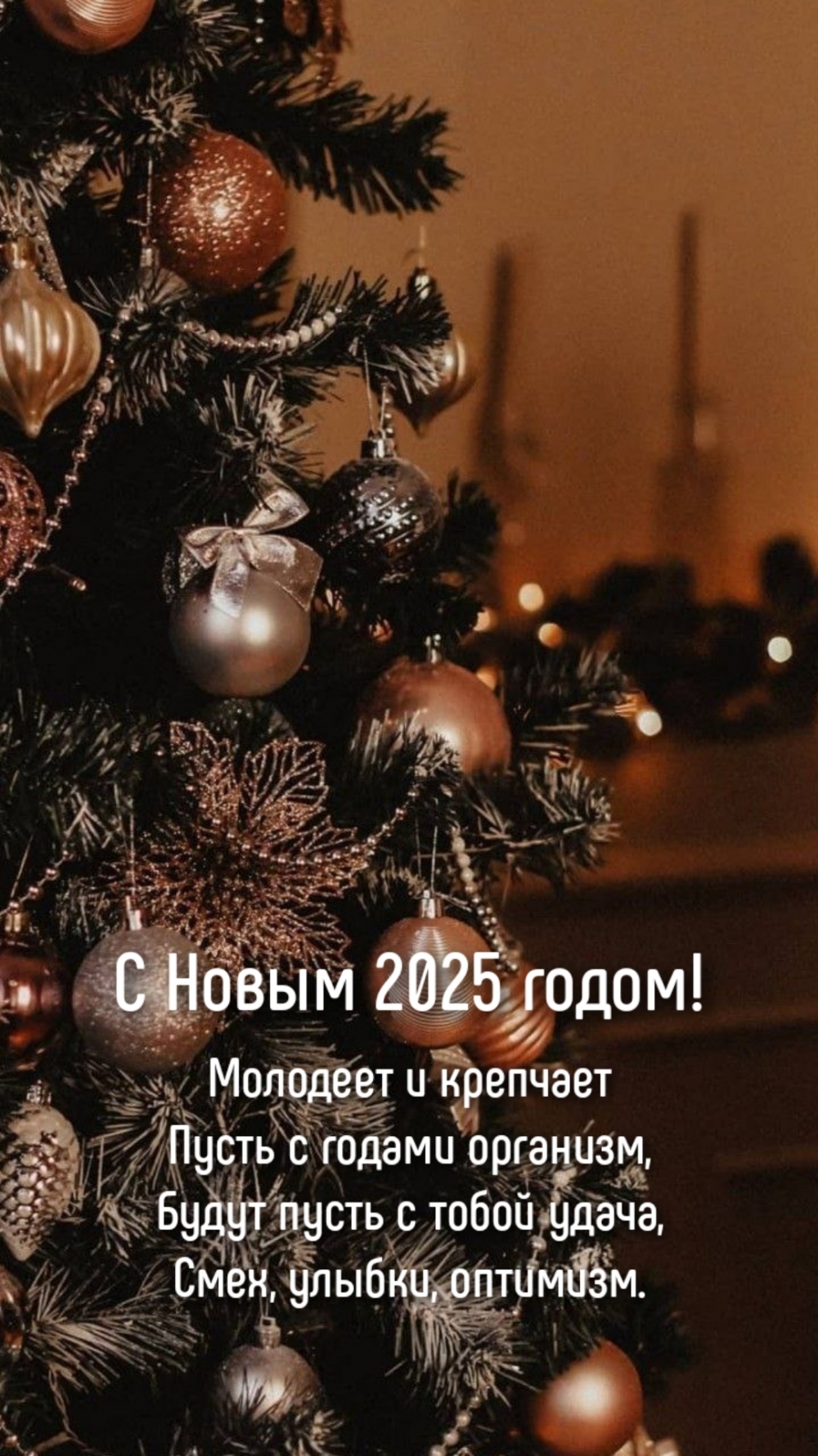 С Новым 2025 годом! Молодеет и крепчает пусть с годами организм