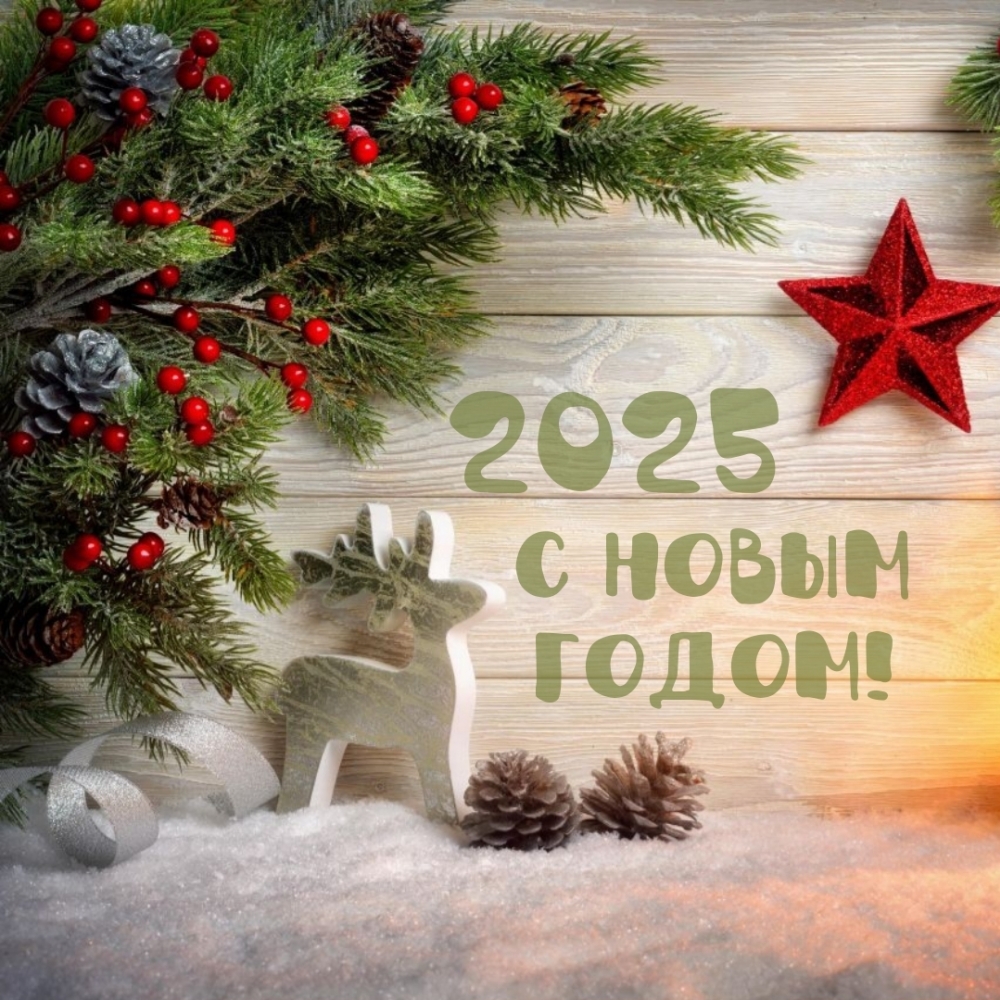 2025 с новым годом!