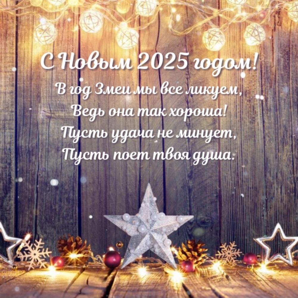 Пусть поет твоя душа. С Новым 2025 годом!