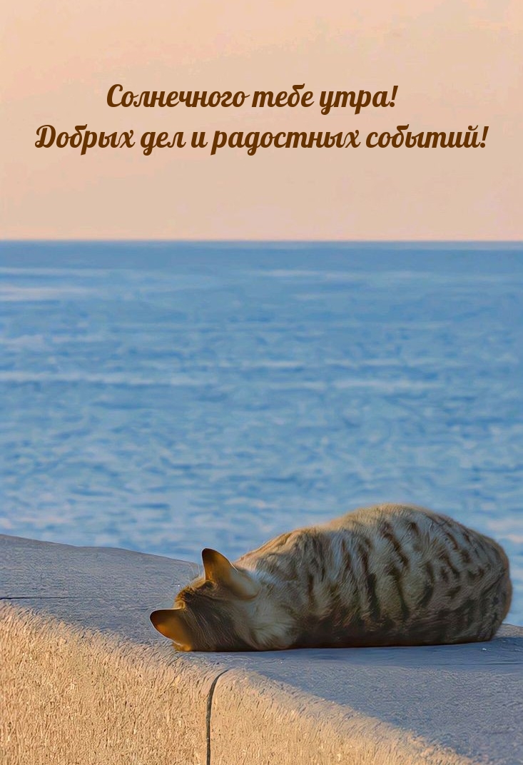 Картинки с надписями.  Солнечного тебе утра! Добрых дел и радостных событий!.