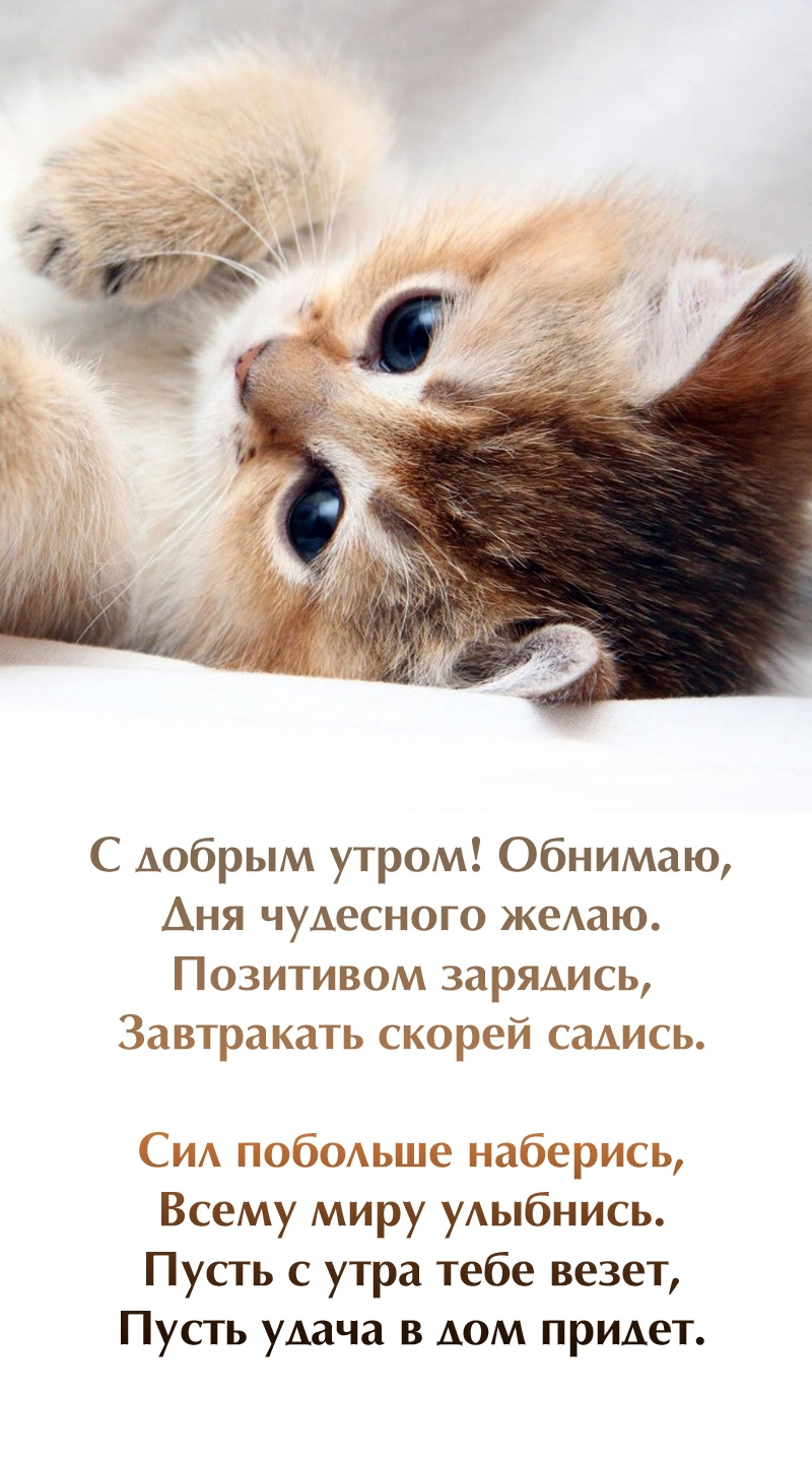 С добрым утром! Обнимаю, дня чудесного желаю.
