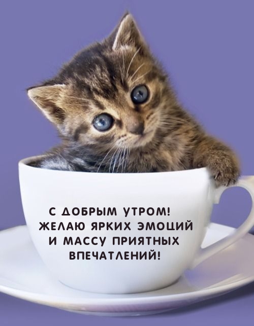 С добрым утром! Ярких эмоций и массу приятных впечатлений!