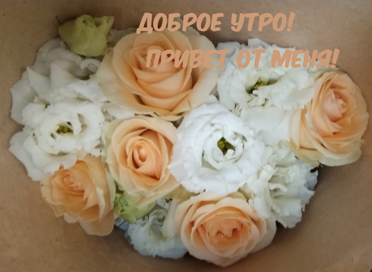 Доброе утро! Привет от меня!