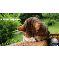 Я так скучаю