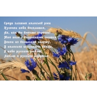 Русское раздолье