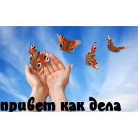 привет как дела