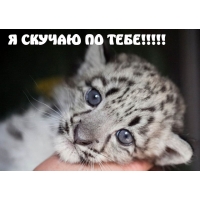 Я СКУЧАЮ ПО ТЕБЕ!