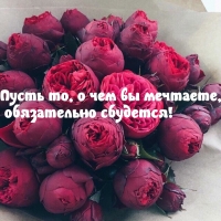 Сбывшихся вам мечтаний