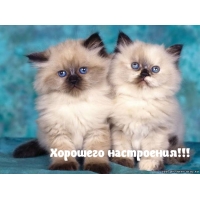 Хорошего настроения!