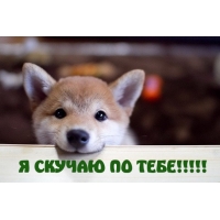 Я СКУЧАЮ ПО ТЕБЕ!