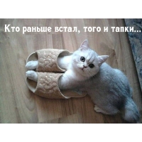 Тапки самому первому