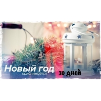 До нового года 30 дней