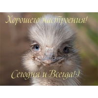 Хорошего настроения!