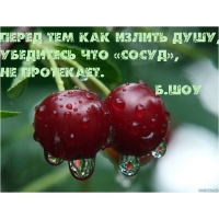 Перед тем как излить душу