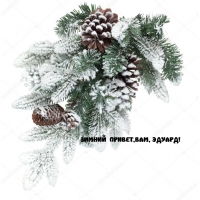 ЗИМНИЙ ПРИВЕТ,ВАМ, ЭДУАРД!