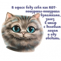 В офисе веду себя как КОТ
