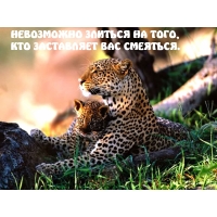 Не возможно злиться на того…