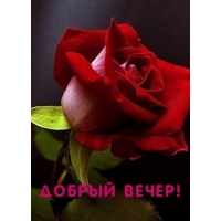 Добрый вечер!