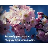 Весны в душе, мира и голубого неба над головой!