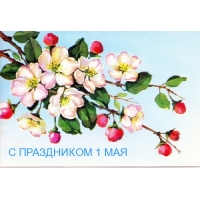 С ПРАЗДНИКОМ 1 МАЯ