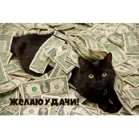 Желаю удачи!
