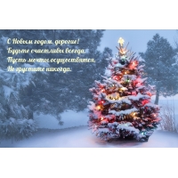 С Новым годом, дорогие!