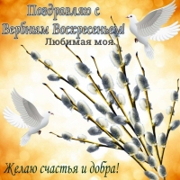 Любимая моя, с вербным воскресеньем!
