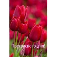 Прекрасного дня!