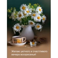 Желаю уютного и счастливого вечера воскресенья!