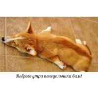 Доброго утра понедельника вам!