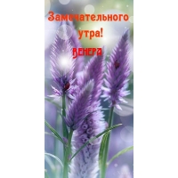 Венера, замечательного утра!