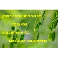Прощения просит тот, кто дорожит отношениями!