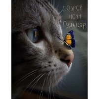 Гульнар, доброй ночи!