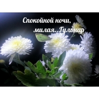 Гульнар, спокойной ночи, милая