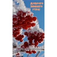 Доброго зимнего утра!