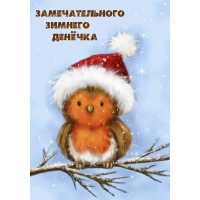 Замечательного Зимнего Денёчка