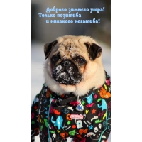 Доброго зимнего утра! Только позитива! и никакого негатива!
