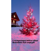 С наступающим Новым Годом! Исполнения всех капризов!