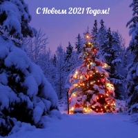 С Новым 2021 Годом!