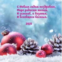 С Новым годом поздравлю! 2021