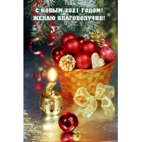 С Новым 2021 годом! Желаю благополучия!