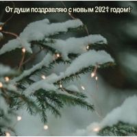 От души поздравляю с новым 2021 годом!