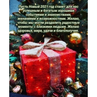 Пусть Новый 2021 год станет для нас успешным!