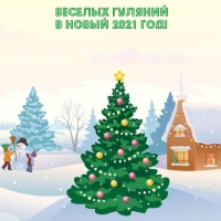 Веселых гуляний в Новый 2021 год!