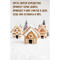 Пусть святое Рождество принесет вам лишь добро!