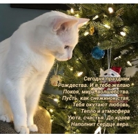 Сегодня праздник Рождества! Покоя, мира, волшебства!