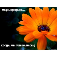Жизнь прекрасна