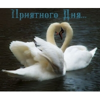 Приятного  Дня…